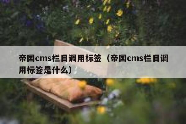 帝国cms栏目调用标签（帝国cms栏目调用标签是什么）