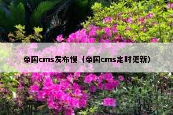 帝国cms发布慢（帝国cms定时更新）