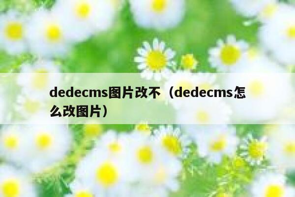 dedecms图片改不（dedecms怎么改图片）