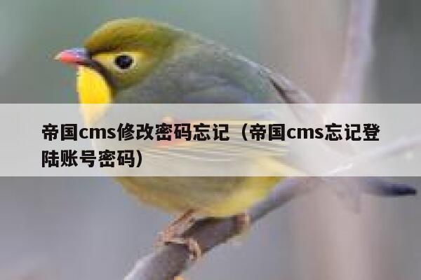 帝国cms修改密码忘记（帝国cms忘记登陆账号密码）