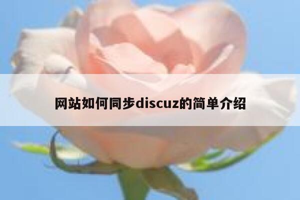 网站如何同步discuz的简单介绍