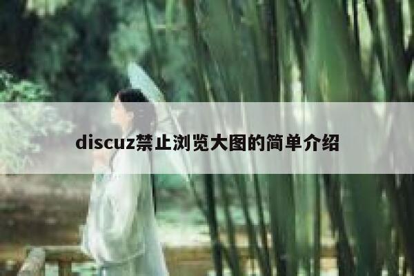 discuz禁止浏览大图的简单介绍 第1张