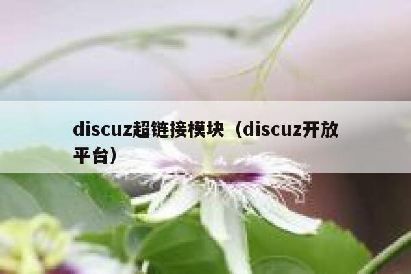 discuz超链接模块（discuz开放平台）