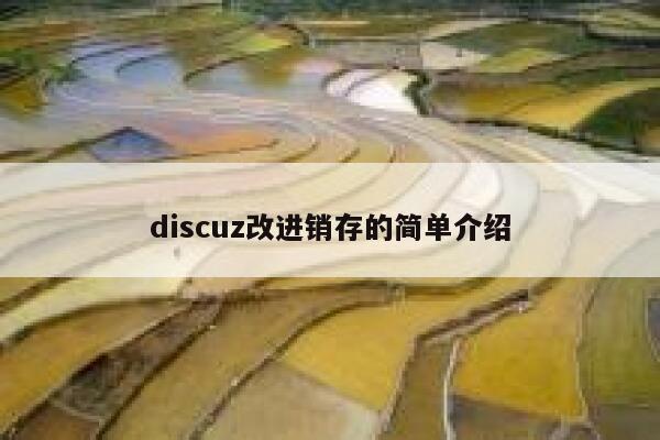 discuz改进销存的简单介绍