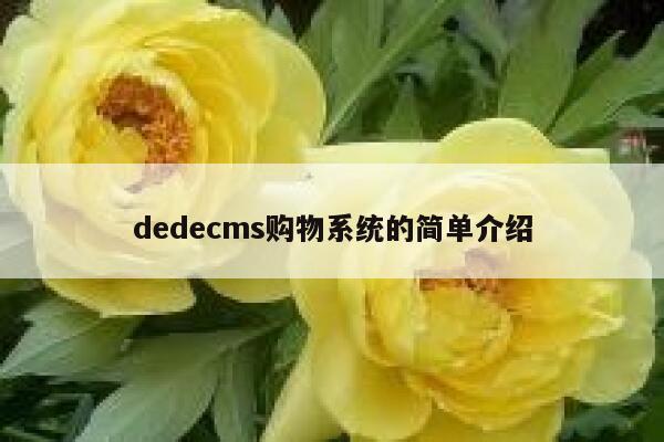 dedecms购物系统的简单介绍