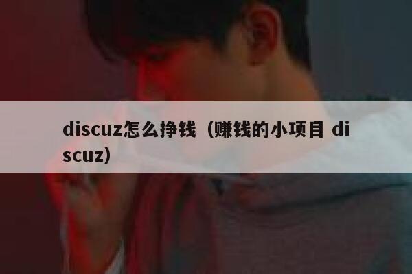 discuz怎么挣钱（赚钱的小项目 discuz）