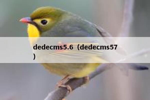 dedecms5.6（dedecms57）