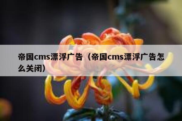 帝国cms漂浮广告（帝国cms漂浮广告怎么关闭）