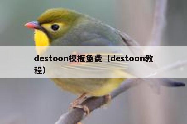 destoon模板免费（destoon教程）