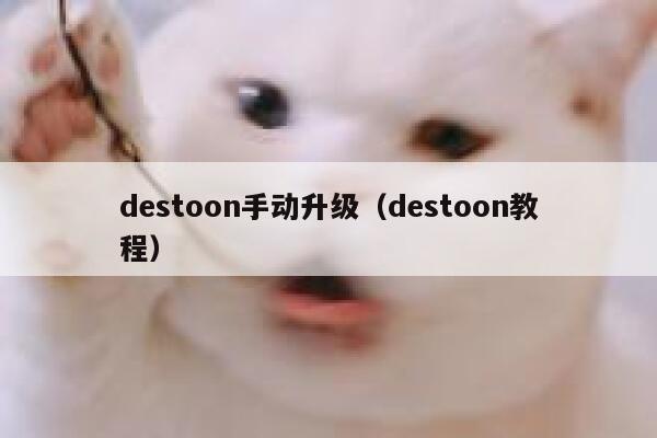 destoon手动升级（destoon教程）