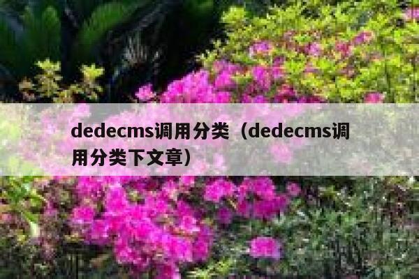 dedecms调用分类（dedecms调用分类下文章）