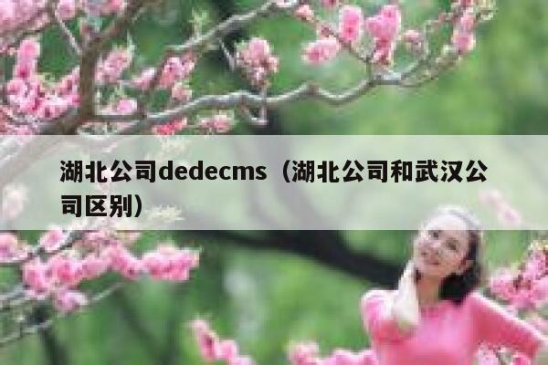 湖北公司dedecms（湖北公司和武汉公司区别）