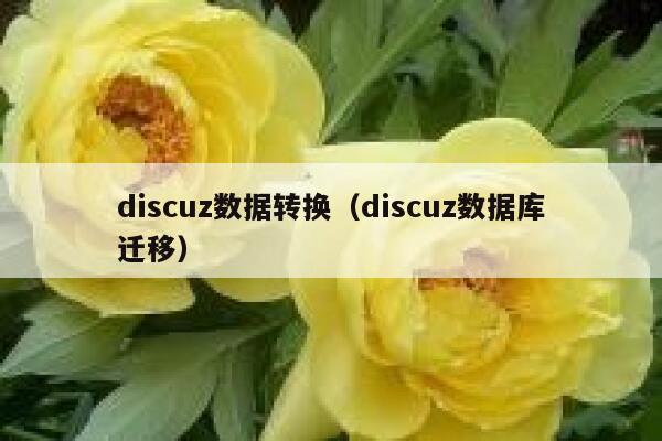 discuz数据转换（discuz数据库迁移）