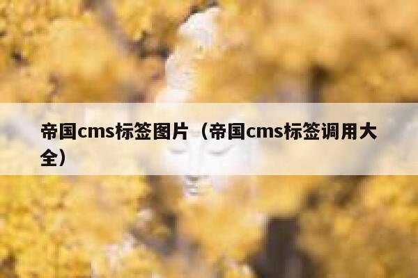 帝国cms标签图片（帝国cms标签调用大全）