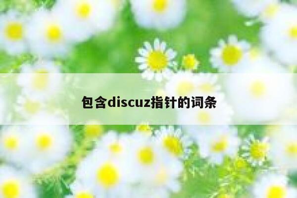 包含discuz指针的词条