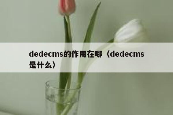 dedecms的作用在哪（dedecms是什么）