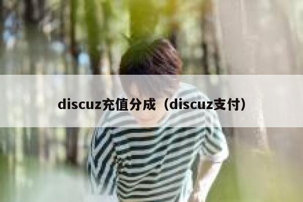 discuz充值分成（discuz支付）