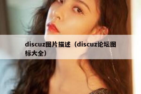 discuz图片描述（discuz论坛图标大全）