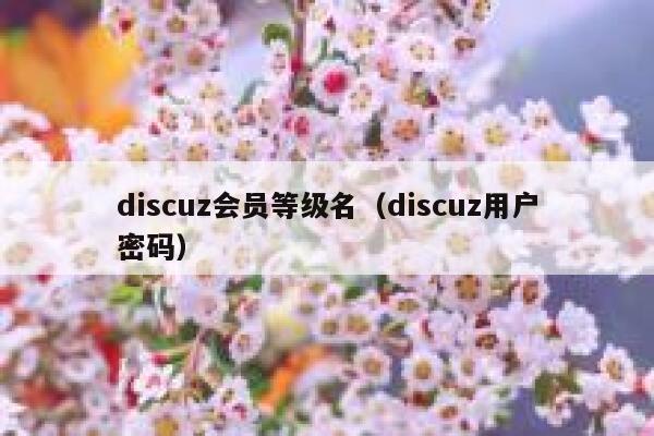 discuz会员等级名（discuz用户密码）