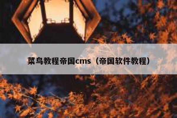 菜鸟教程帝国cms（帝国软件教程）