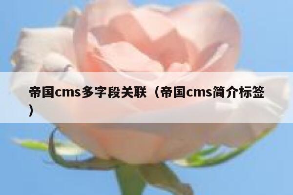 帝国cms多字段关联（帝国cms简介标签）