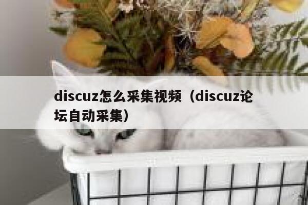 discuz怎么采集视频（discuz论坛自动采集）