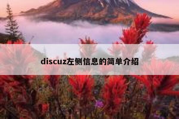 discuz左侧信息的简单介绍