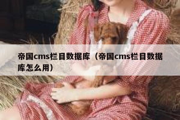 帝国cms栏目数据库（帝国cms栏目数据库怎么用）