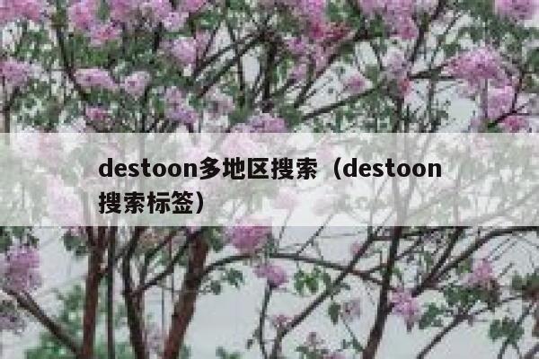 destoon多地区搜索（destoon搜索标签）