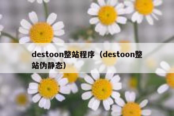 destoon整站程序（destoon整站伪静态）