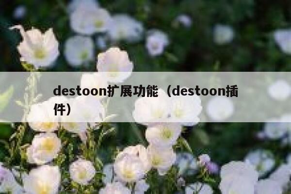 destoon扩展功能（destoon插件）