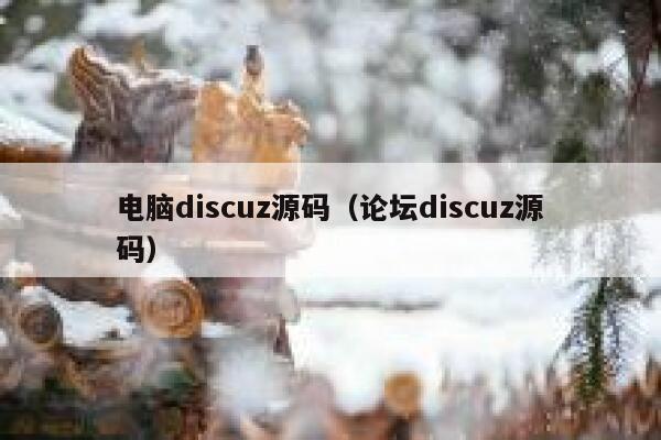 电脑discuz源码（论坛discuz源码）