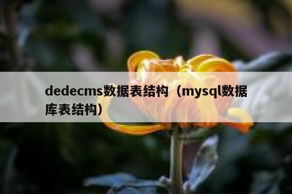 dedecms数据表结构（mysql数据库表结构）