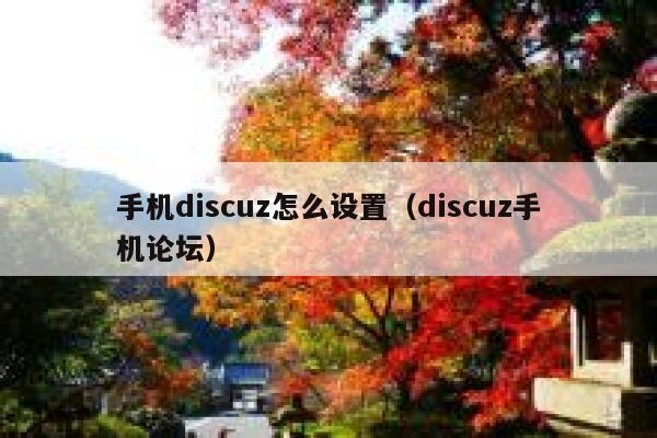 手机discuz怎么设置（discuz手机论坛）