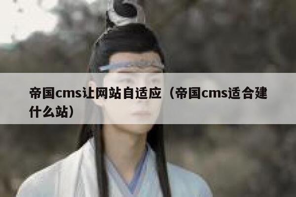 帝国cms让网站自适应（帝国cms适合建什么站）