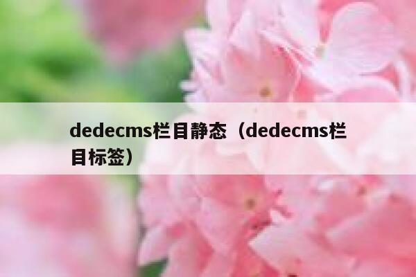 dedecms栏目静态（dedecms栏目标签）