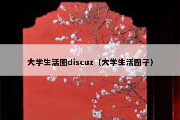 大学生活圈discuz（大学生活圈子）