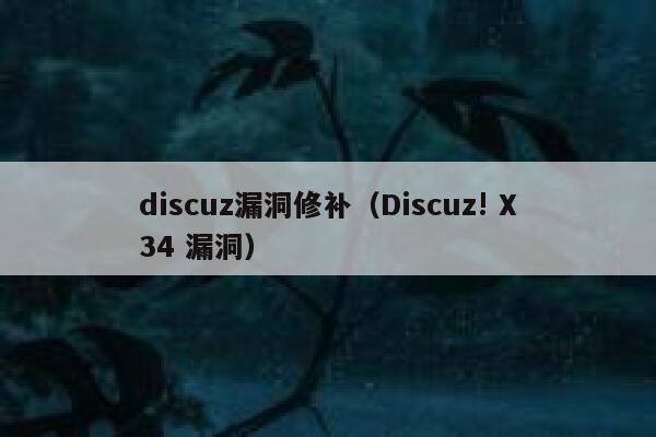 discuz漏洞修补（Discuz! X34 漏洞）