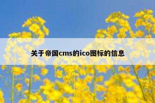 关于帝国cms的ico图标的信息