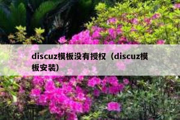 discuz模板没有授权（discuz模板安装）