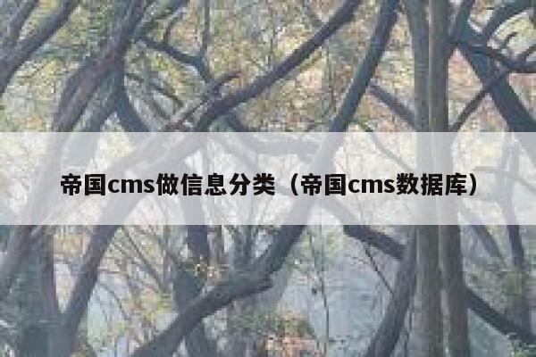 帝国cms做信息分类（帝国cms数据库）