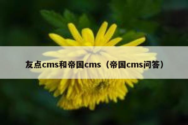 友点cms和帝国cms（帝国cms问答）