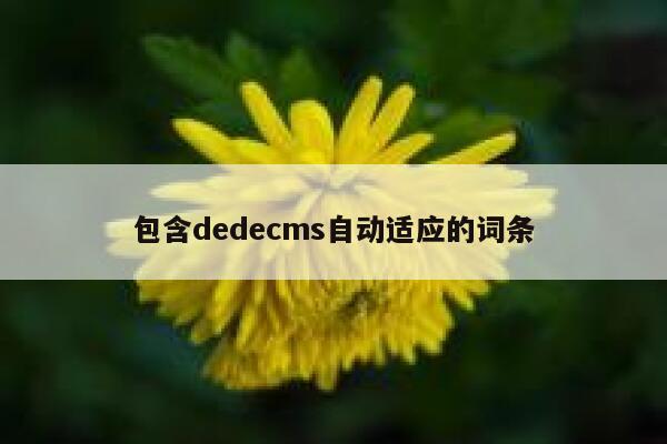 包含dedecms自动适应的词条 第1张