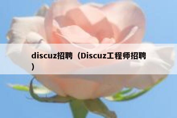 discuz招聘（Discuz工程师招聘）