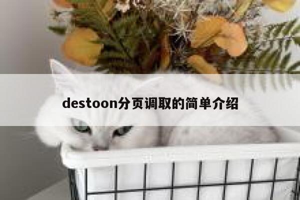 destoon分页调取的简单介绍 第1张