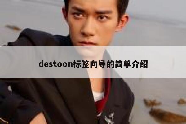 destoon标签向导的简单介绍