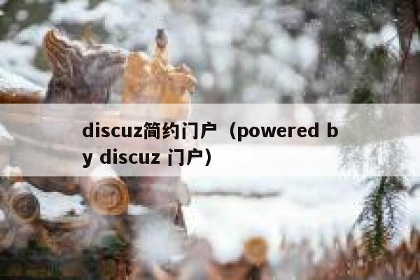 discuz简约门户（powered by discuz 门户）