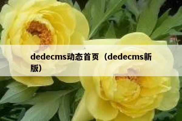 dedecms动态首页（dedecms新版）