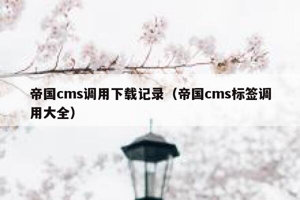 帝国cms调用下载记录（帝国cms标签调用大全）