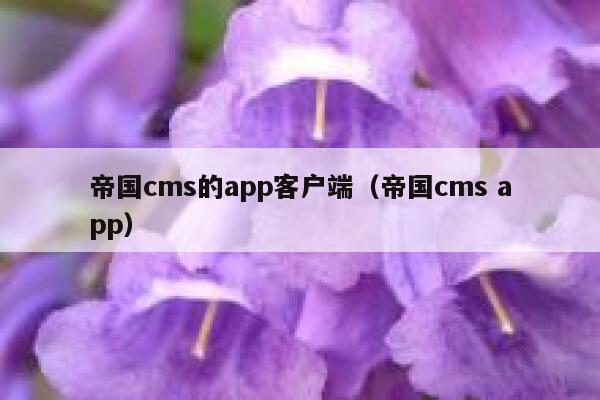 帝国cms的app客户端（帝国cms app）